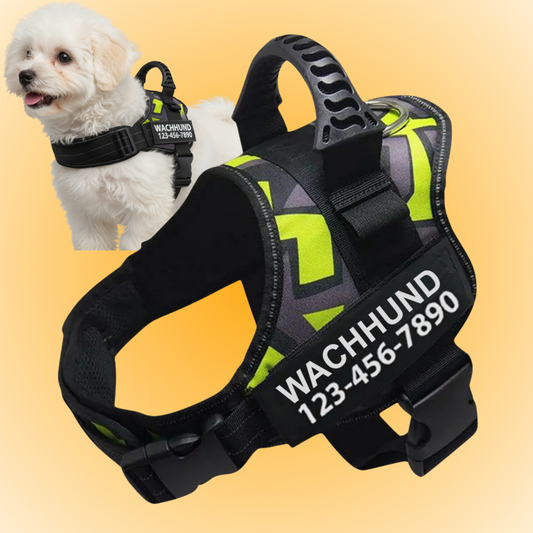 Personalized Anti-Pull Harness