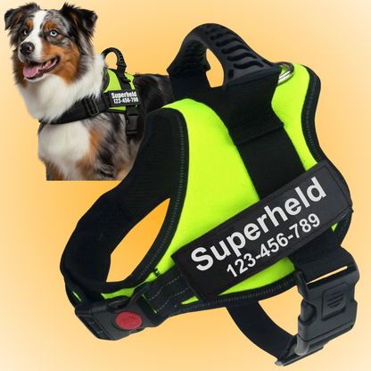 Personalized Anti-Pull Harness