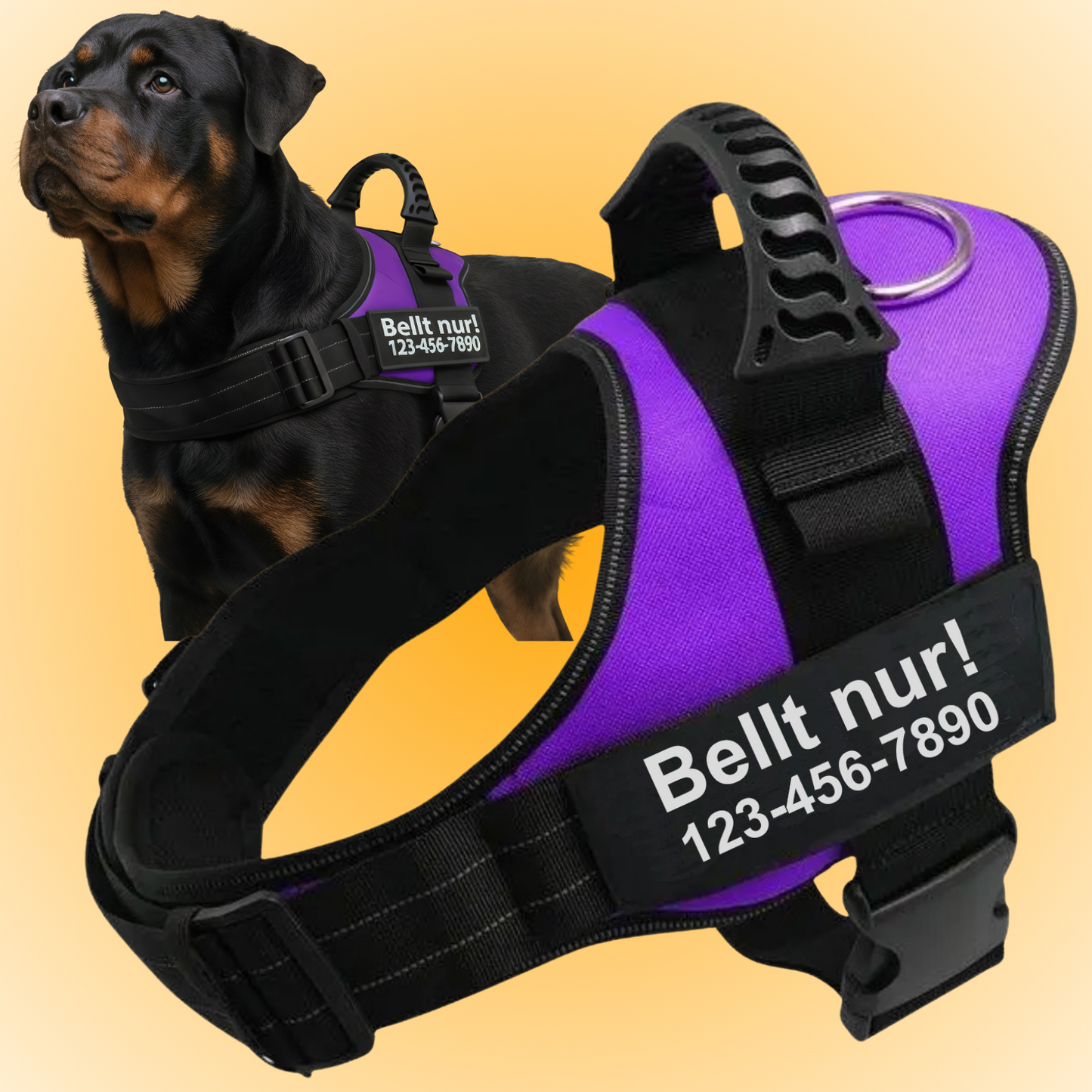 Personalized Anti-Pull Harness
