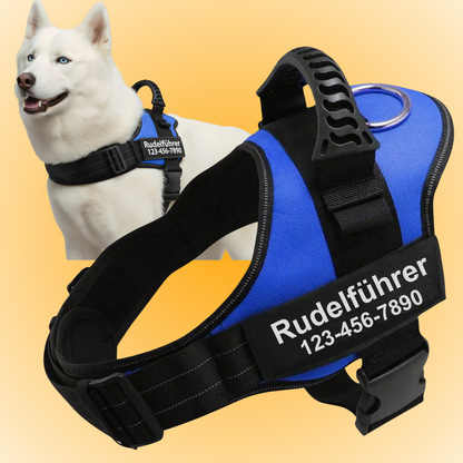 Personalized Anti-Pull Harness