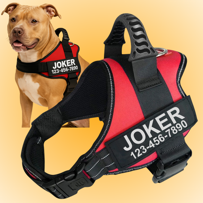 Personalized Anti-Pull Harness