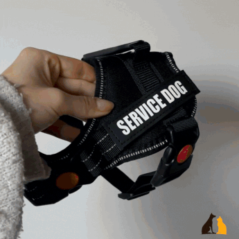 Personalized Anti-Pull Harness