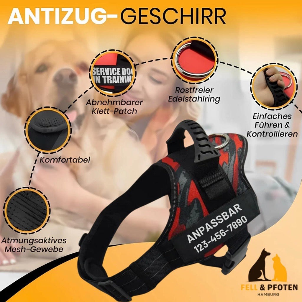 Personalized Anti-Pull Harness